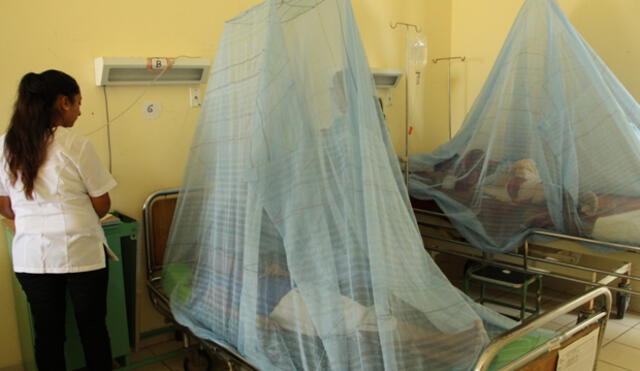 Piura tiene déficit de médicos ante gran cantidad de casos de dengue [VIDEO]