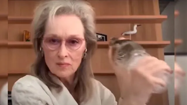En el vídeo se puede observar a Streep preparando un Martini. (Foto: Captura)