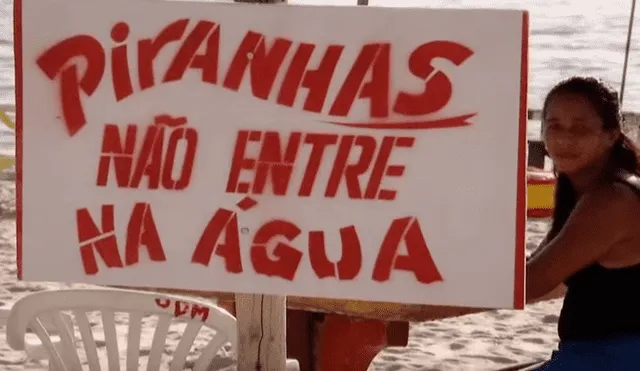 Pescador ingresa a peligrosa playa de Brasil para atrapar a peligrosa criatura marina que atacó a bañistas.