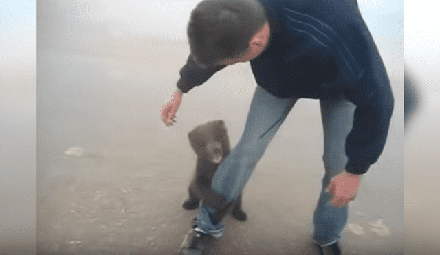 Video es viral en Facebook. El pequeño animal se aferró a la pierna del hombre que lo rescató y protagonizó una conmovedora escena