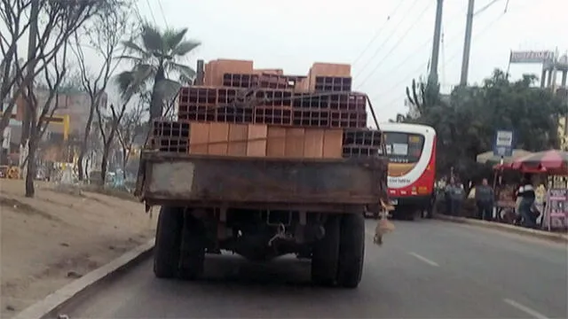 #YoDenuncio: camión transporta ladrillos sin ninguna medida de seguridad 