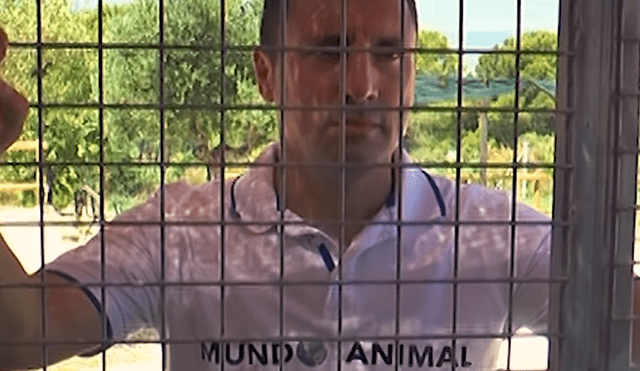YouTube: activista lleva 12 días encerrado para pedir por perros abandonados