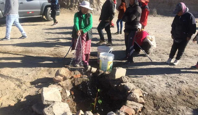 Vecinos del asentamiento Galaxia III y Juan Pablo XXII plantaron árboles en Miraflores, Arequipa.