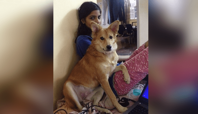WhatsApp: mujer decide no casarse porque su pareja pidió que abandone a su perro [FOTOS]