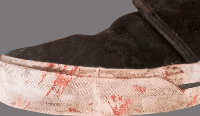 Las autoridades deberán identificar a quién pertenece el par de zapatillas con las manchas de sangre. (Captura: Clarín)