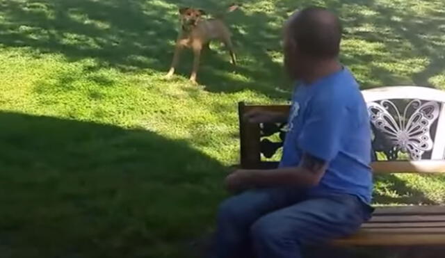 YouTube: Emotiva reacción de un perro al volver a ver a su dueño 