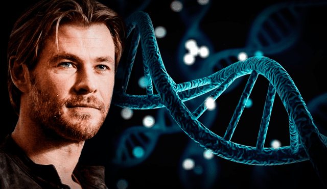 Chris Hemsworth se dará un tiempo de licencia en su carrera de actor tras descubrir que posee dos copias del gen APOE4, un factor de riesgo muy fuerte para el alzheimer. Foto: composición de Jazmín Ceras / AFP / Cornell University