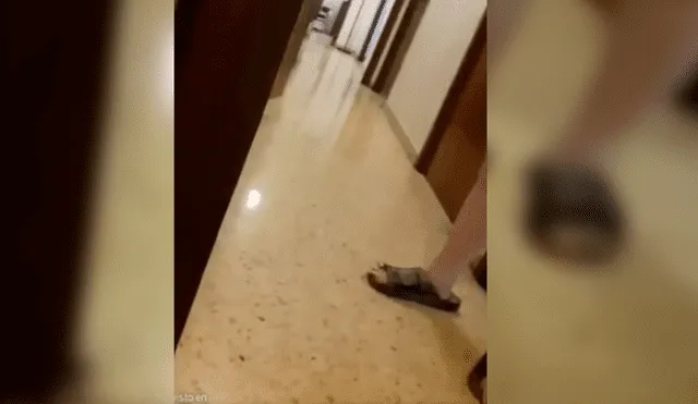 Video viral de Facebook muestra el aterrador momento en que un gasfitero descubre algo espeluznante en los pies de una cliente