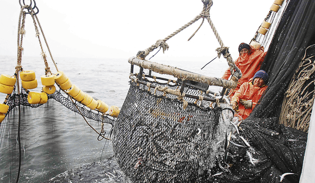 Produce pone fin a primera temporada de pesca de anchoveta en zona norte-centro