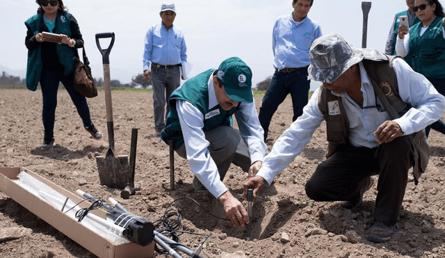 Proyecto ‘Perú Smart Agro 4.0’ ayudará a mejorar la producción de algodón en el país