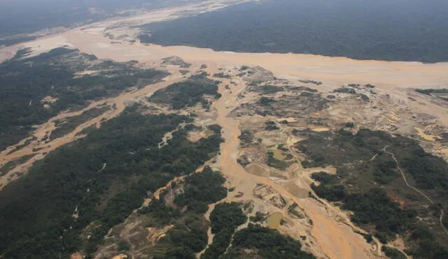 Banco Mundial donará US$ 400 000 para combatir la deforestación en Ucayali
