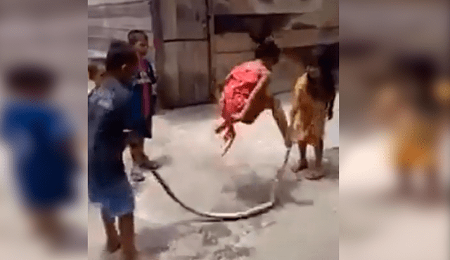 Grupo de niños fue grabado mientras se divertían en el popular juego de la cuerda con el cuerpo de una enorme serpiente. Video es viral en YouTube