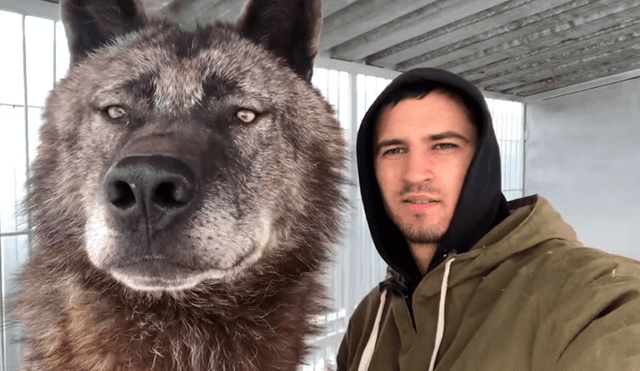 YouTube viral: chico busca tomarse selfie con enorme lobo negro y este reacciona así [VIDEO]