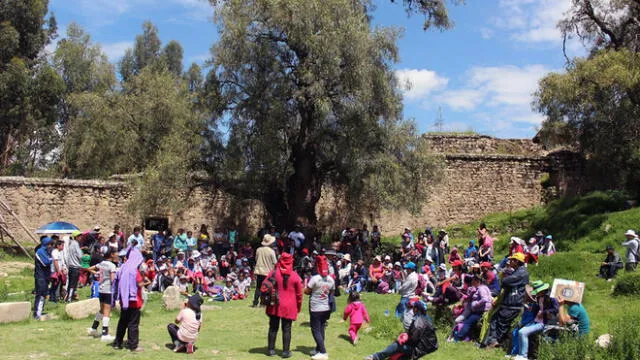 Huancayo: museo de Wariwillka recibió a 2000 visitantes
