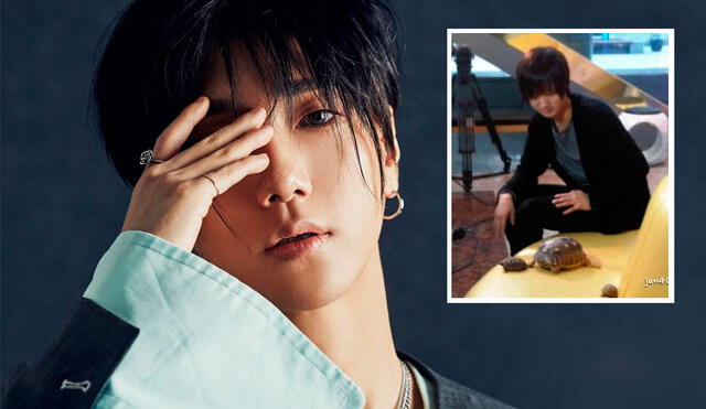 SUPER JUNIOR: Yesung confesó cómo una de sus tortugas lo hacía sentir solo y triste. Crédito: fotocomposición