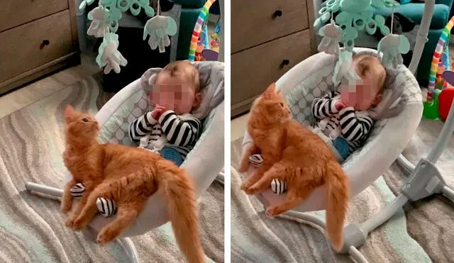 Desliza las imágenes para apreciar la amorosa escena entre un bebé y un gato que se echó a su lado para protegerlo. Foto: Caters Clips