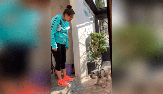 Desliza las imágenes para observar la conmovedora reacción de un perro al ser ‘regañado’ por su dueña. Foto: Captura.