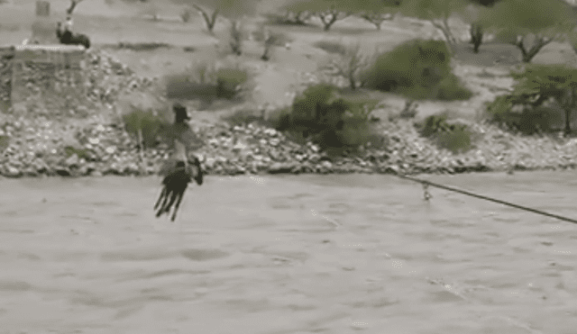 Facebook Viral: Arriesgado traslado de burro por el Río Marañon indigna a miles [VIDEO]