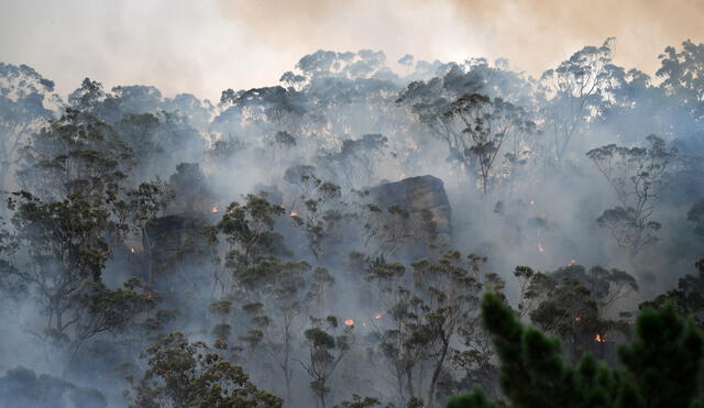 Smoke and flames from a back burn, conducted to secure residential areas from encroaching bushfires, are seen at the Spencer area in Central Coast, some 90-110 kilometres north of Sydney on December 9, 2019. - Australia is experiencing a horrific start to its fire season, which scientists say began earlier and is more extreme this year due to a prolonged drought and the effects of climate change. (Photo by SAEED KHAN / AFP)