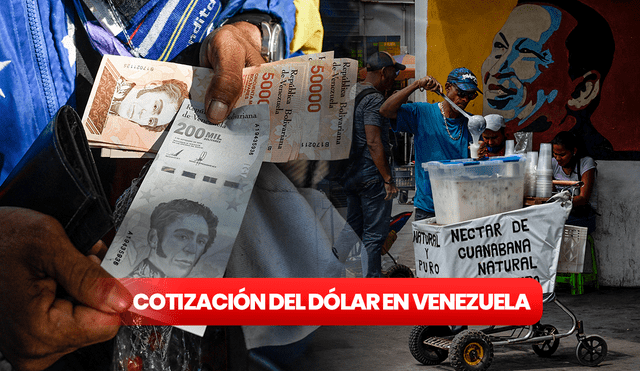 Conoce la tasa oficial del dólar en Venezuela hoy, según el Dólar BCV.