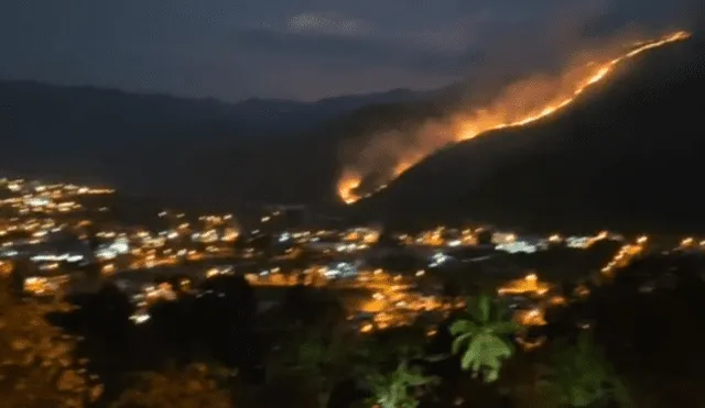 Incendio forestal en Chanchamayo amenaza a la ciudad de La Merced. Foto: Captura