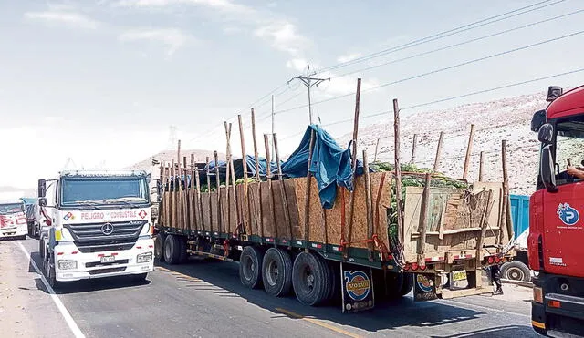 pausa. Los transportistas de Arequipa ayer ya no bloquearon el kilómetro 48. En la noche dieron una tregua al gobierno hasta que asuma nuevo gabinete.