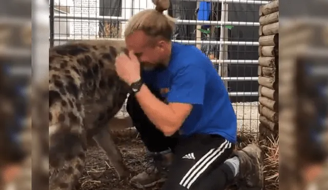 Facebook viral: joven tiene conmovedor reencuentro con feroz hiena que cuidó cuando era un bebé [VIDEO]