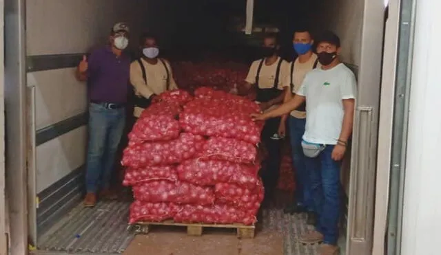 La cebolla roja se produce principalmente en la Irrigación de Majes y La Joya. Foto: Gerencia de Agricultura.