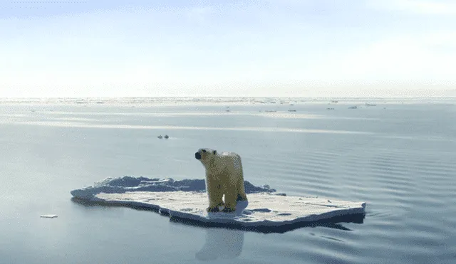 ¿Adiós al Ártico? El primer verano sin hielo marino se daría en el 2030
