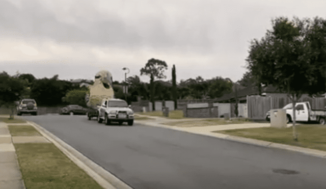A través de Facebook se hizo viral la gigantesca escultura que hizo un hombre durante la cuarentena.
