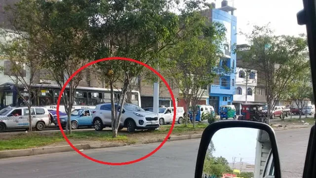 #YoDenuncio: conductor estaciona auto entre árboles en SJL