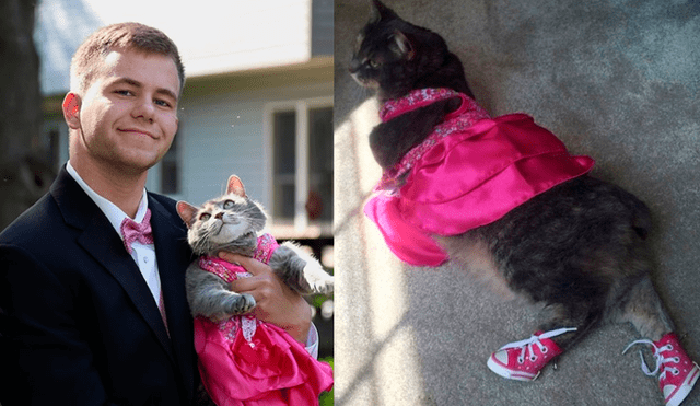 Facebook viral: no encontró pareja para su graduación y decidió ir junto a su gatita [FOTOS]