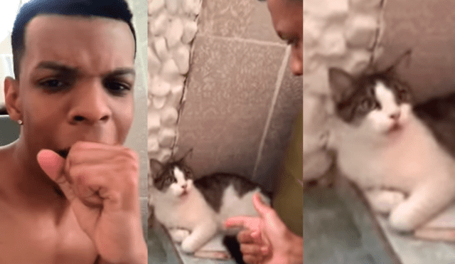 Facebook: gato y joven hacen dueto para interpretar famosa canción y arransan en la red [VIDEO]
