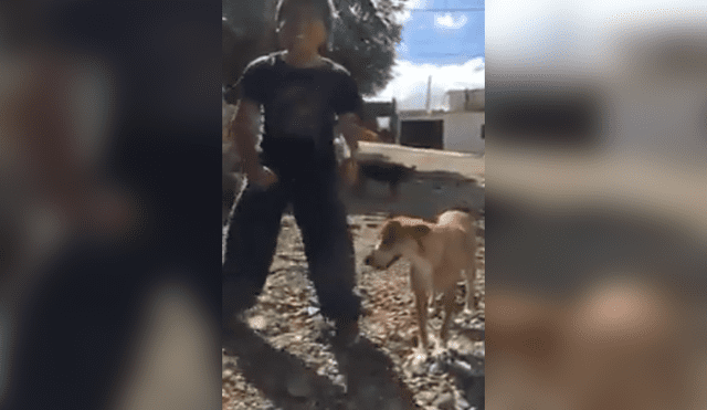 Facebook Viral: Bailó "Scooby Doo PaPa" con su perro y son furor en la web