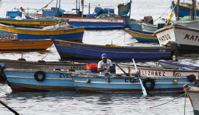 Ministerio de la Producción apunta a formalizar 8.000 pescadores en un año 