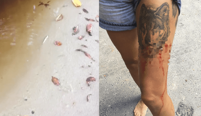 Facebook: Turista grabó el preciso momento que cocodrilo la atacó en la playa [VIDEO] 