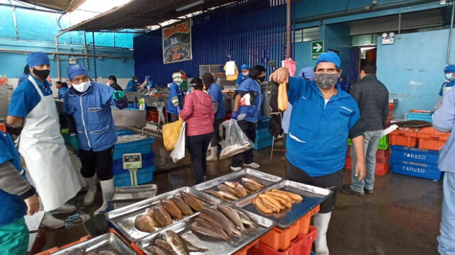 Terminal pesquero del Callao. (Fotos: Jessica Merino / GLR)