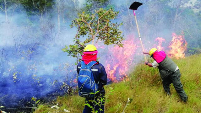 Incendio en el Parque Nacional Madidi no puede ser controlado. Foto https://www.paginasiete.bo
