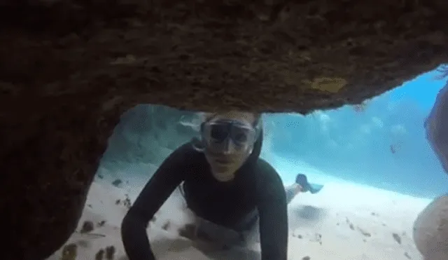 YouTube viral: buzo excursiona por el fondo del mar y encuentra huevos de ‘criatura marina’ [VIDEO]