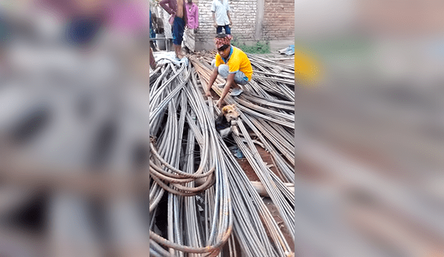 Facebook Viral: El rescate de este perrro atrapado entre cables de acero conmueve a miles de usuarios 