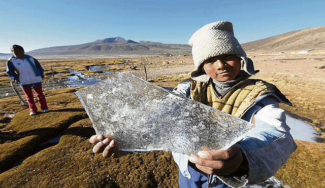 Son catorce las regiones que sufren por heladas y friaje