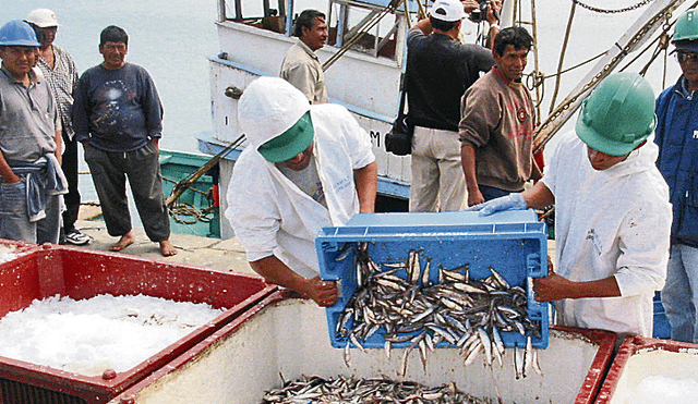 Hombres de mar marcharán por alza en derechos de pesca