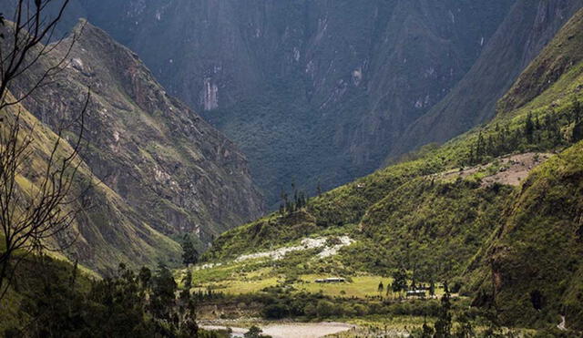 Reserva biosfera abarca zonas de 19 distritos del Cusco. Foto: Sernanp
