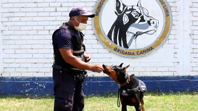 Brigada Canina de la Municipalidad de Lima. Créditos: MML