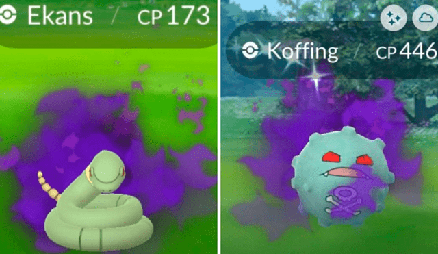 Ekans y Koffing oscuro debutan en su variante shiny. Foto: Pokémon GO.