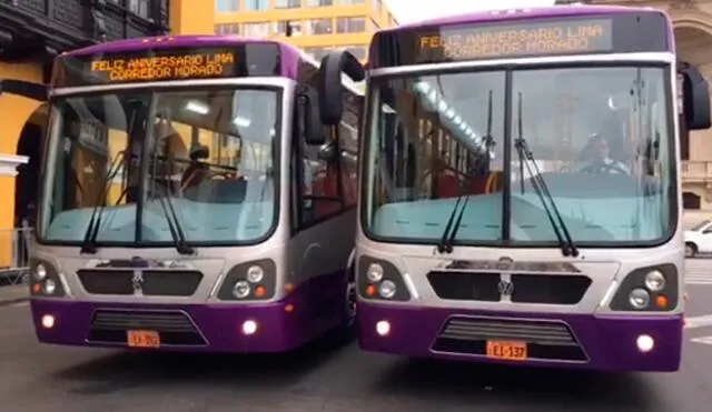 Presentan 77 modernos buses para el Corredor Morado de SJL | VIDEO