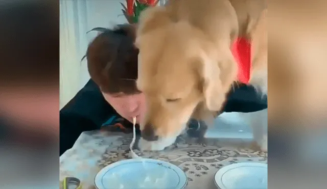 Desliza las imágenes para apreciar la competencia entre un joven y su perro al comer más rápido unos fideos. Foto: Captura.