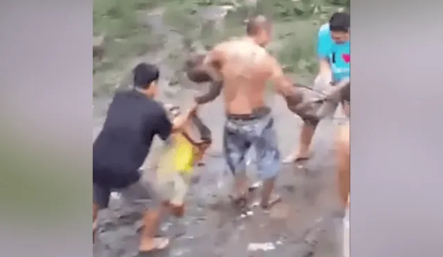 Desliza hacia la izquierda para ver el momento en que el hombre interfiere en la batalla de dos enormes serpientes en Filipinas. El video es viral en YouTube.