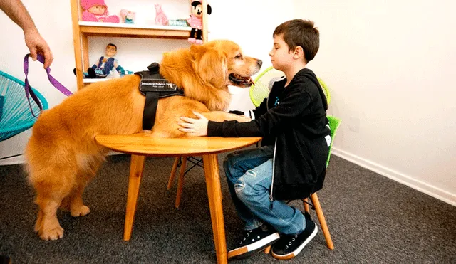 Titán forma parte del programa “Perros de Terapia para Asistencia Judicial”. Foto: Infobae