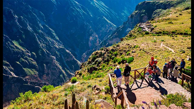 Cañón del Colca (Arequipa) Foto: PromPerú